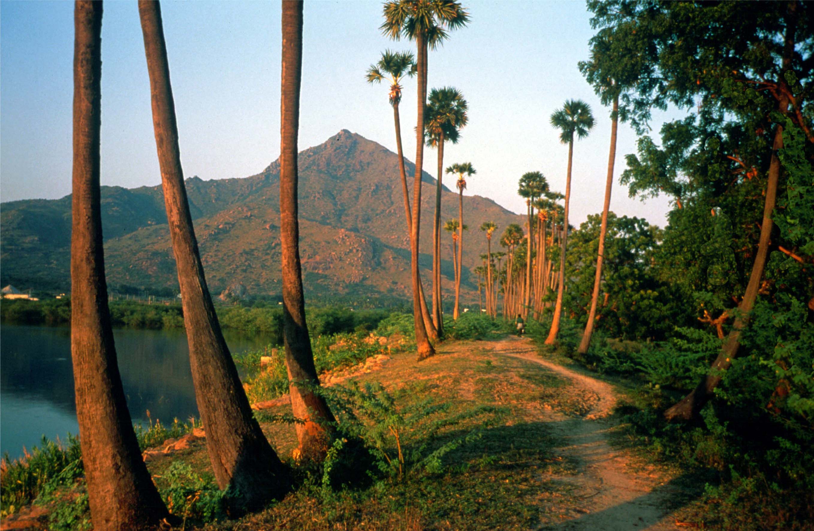 Samudram Lake